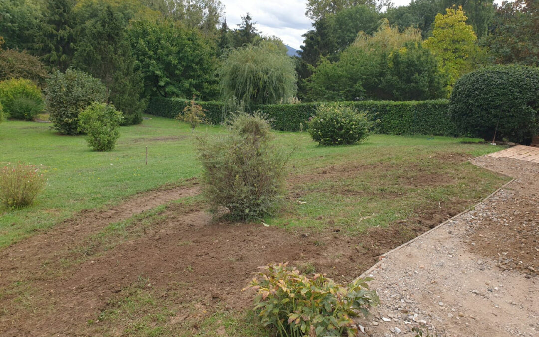 L&rsquo;Argile dans la Construction : Comprendre et Gérer le Retrait Gonflement Argile (RGA)