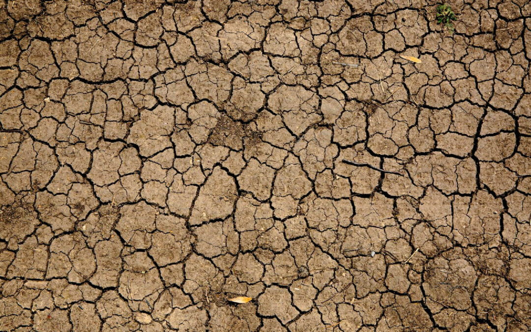 L&rsquo;Impact des Catastrophes Naturelles sur Votre Bâtiment : Que Faire en Cas de Sècheresse ?